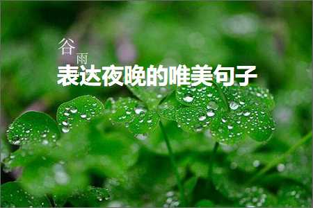 琛ㄨ揪澶滄櫄鐨勫敮缇庡彞瀛愶紙鏂囨107鏉★級